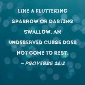 Proverbs 26 2 Like A Fluttering Sparrow Or Darting Swallow An Undeserved Curse Does Not Come To Rest