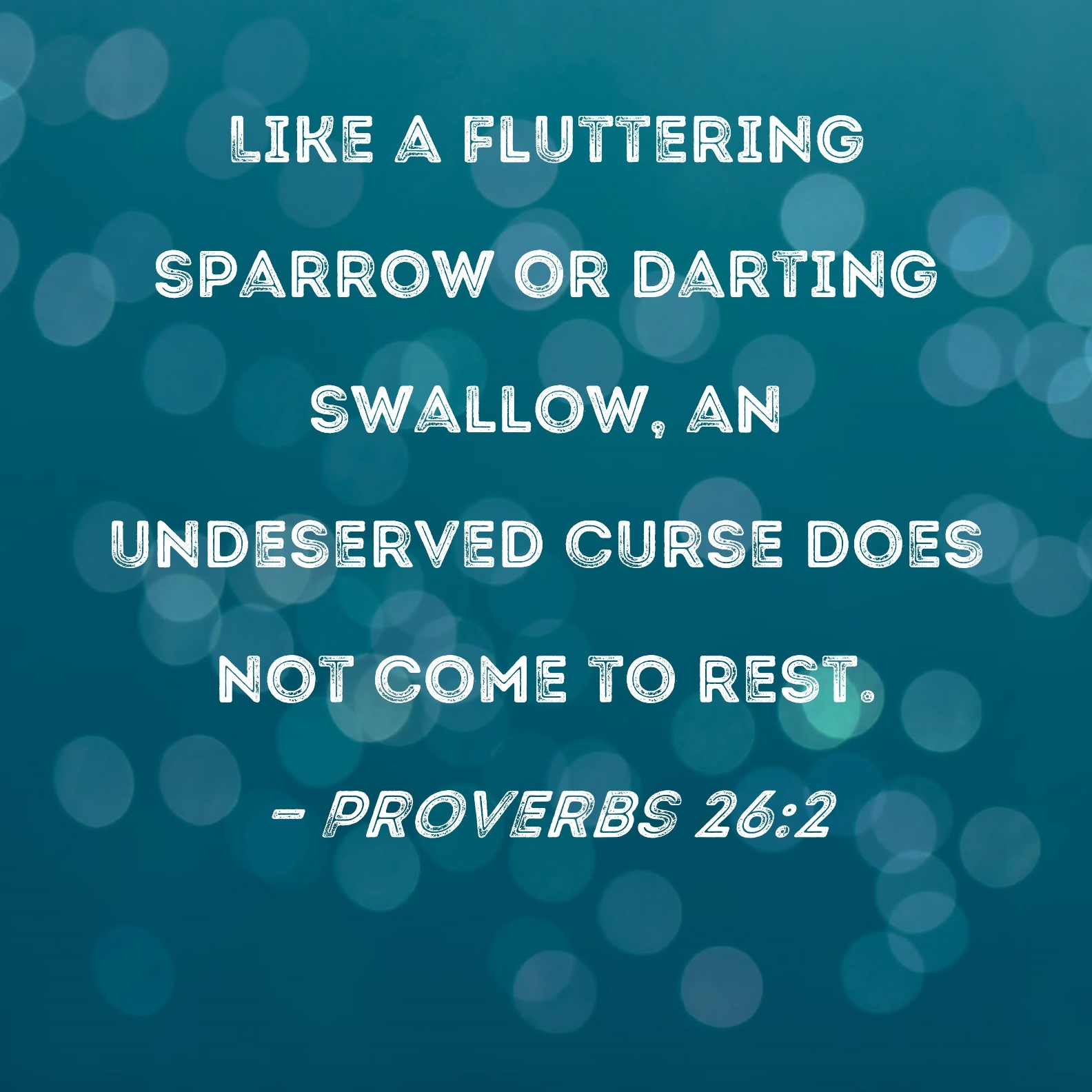 Proverbs 26 2 Like A Fluttering Sparrow Or Darting Swallow An Undeserved Curse Does Not Come To Rest 