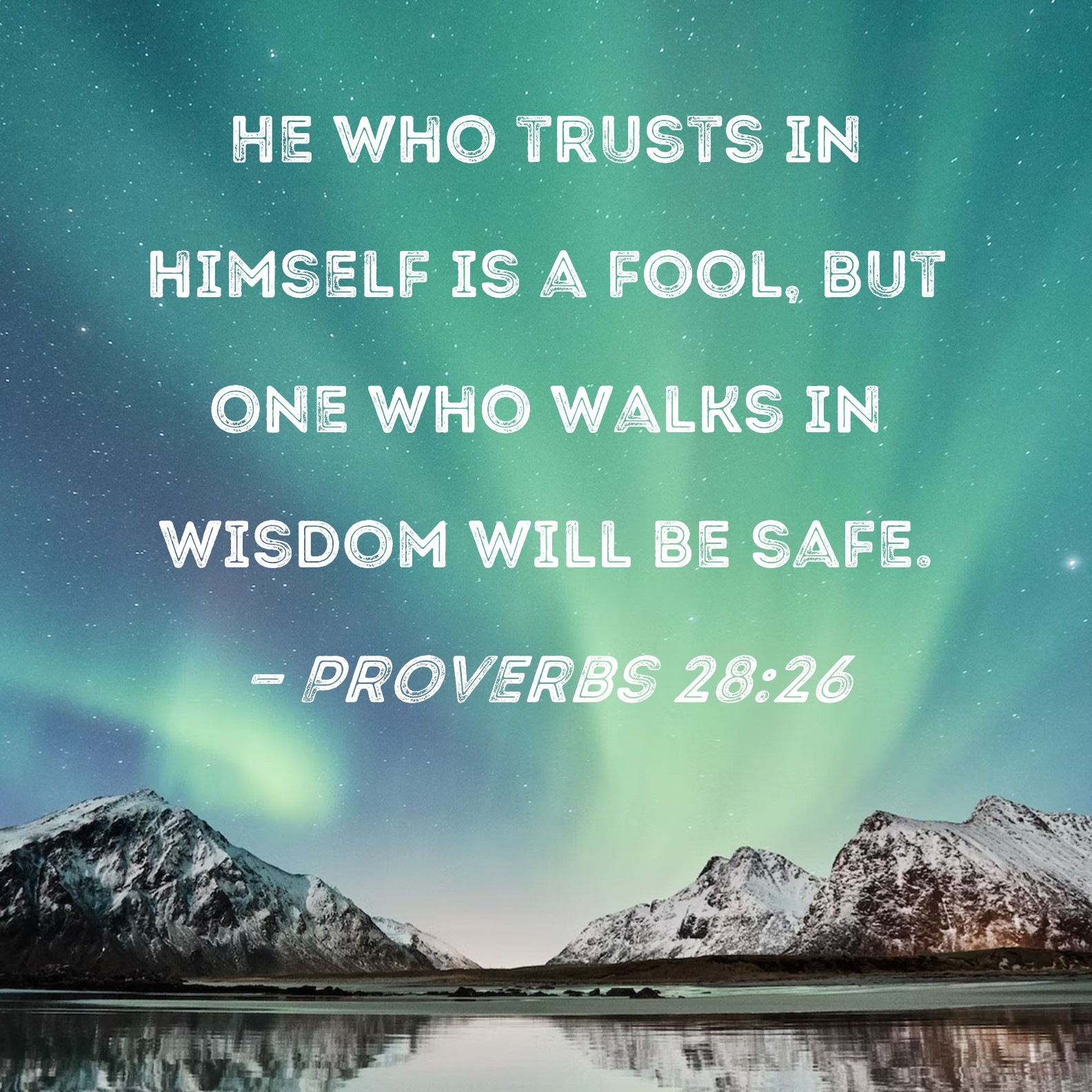 Proverbs 28 26 He Who Trusts In Himself Is A Fool But One Who Walks In Wisdom Will Be Safe 
