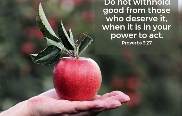 Proverbs 3 27 Illustrated Do Not Withhold Good From Those Who Heartlight Gallery