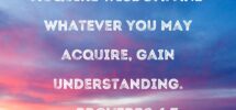 Proverbs 4 7 Wisdom Is Supreme So Acquire Wisdom And Whatever You May Acquire Gain Understanding