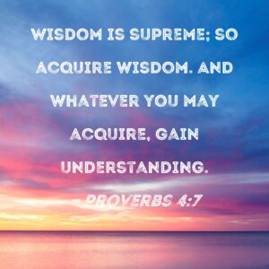 Proverbs 4 7 Wisdom Is Supreme So Acquire Wisdom And Whatever You May Acquire Gain Understanding