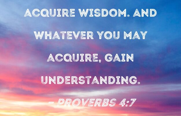 Proverbs 4 7 Wisdom Is Supreme So Acquire Wisdom And Whatever You May Acquire Gain Understanding