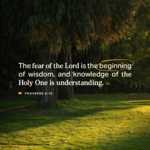 Proverbs 9 10 12 If You Reason With An Arrogant Cynic You ll Get Slapped In The Face Confront Bad Behavior And Get A Kick In The Shins So Don t Waste Your Time On A