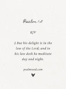 Psalm 1 2 KJV Bible Verse Daily Devotional Wedding Shoes Jewelry Christian Journals PSALM SEED