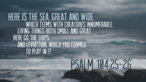 Psalm 104