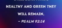 Psalm 92 14 In Old Age They Will Still Bear Fruit Healthy And Green They Will Remain