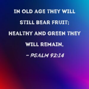 Psalm 92 14 In Old Age They Will Still Bear Fruit Healthy And Green They Will Remain