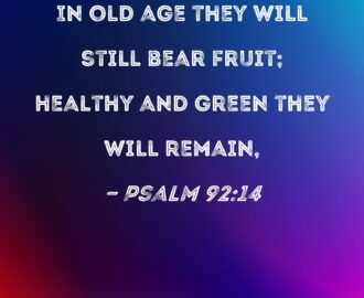 Psalm 92 14 In Old Age They Will Still Bear Fruit Healthy And Green They Will Remain