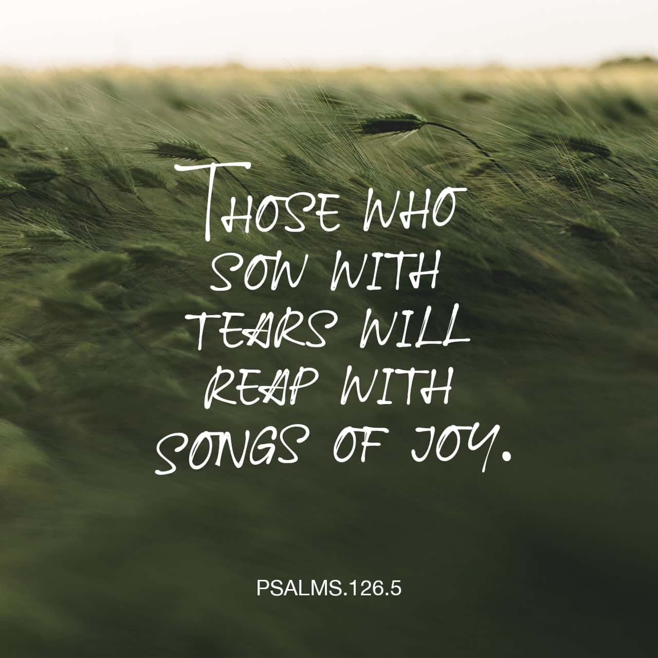 Psalms 126 5 6 And Now GOD Do It Again Bring Rains To Our Drought stricken Lives So Those Who Planted Their Crops In Despair Will Shout Yes At The Harvest So Those Who Went