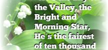 Quote The Lily Of The Valley MINDING MY P S WITH Q