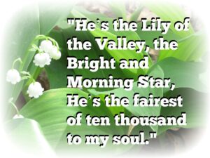 Quote The Lily Of The Valley MINDING MY P S WITH Q