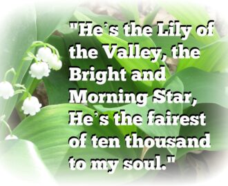 Quote The Lily Of The Valley MINDING MY P S WITH Q