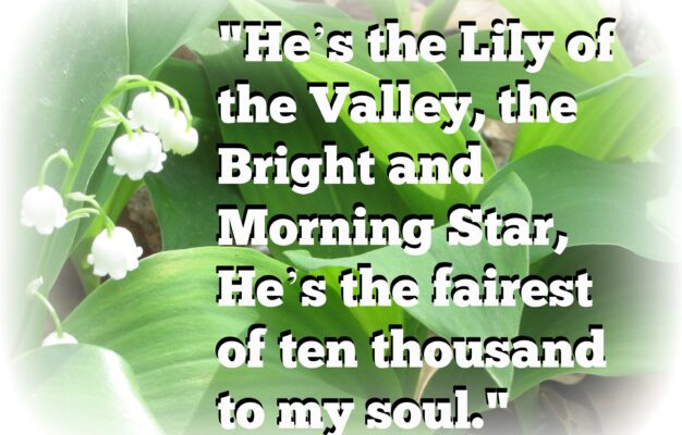 Quote The Lily Of The Valley MINDING MY P S WITH Q