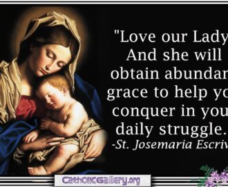 Quotes About Mary Pictures Page 1 Catholic Gallery