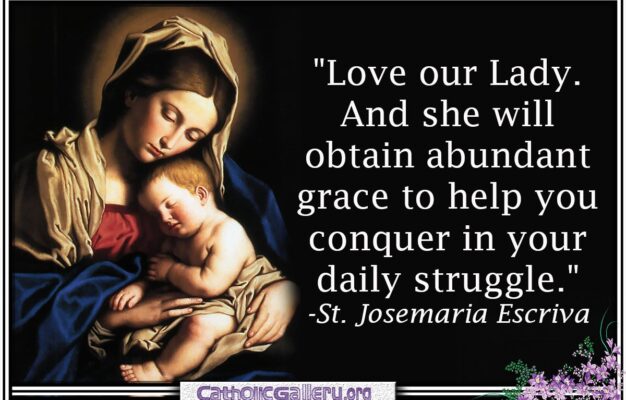 Quotes About Mary Pictures Page 1 Catholic Gallery