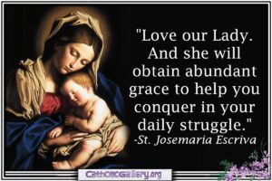 Quotes About Mary Pictures Page 1 Catholic Gallery