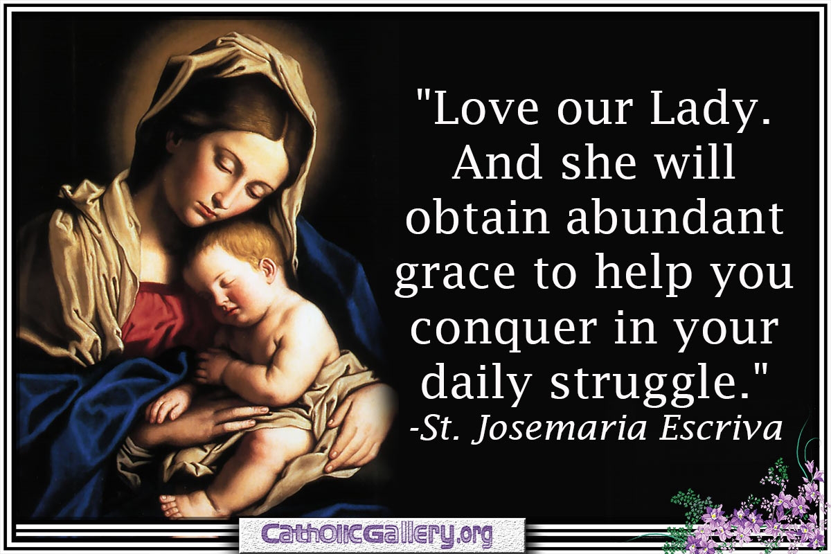 Quotes About Mary Pictures Page 1 Catholic Gallery
