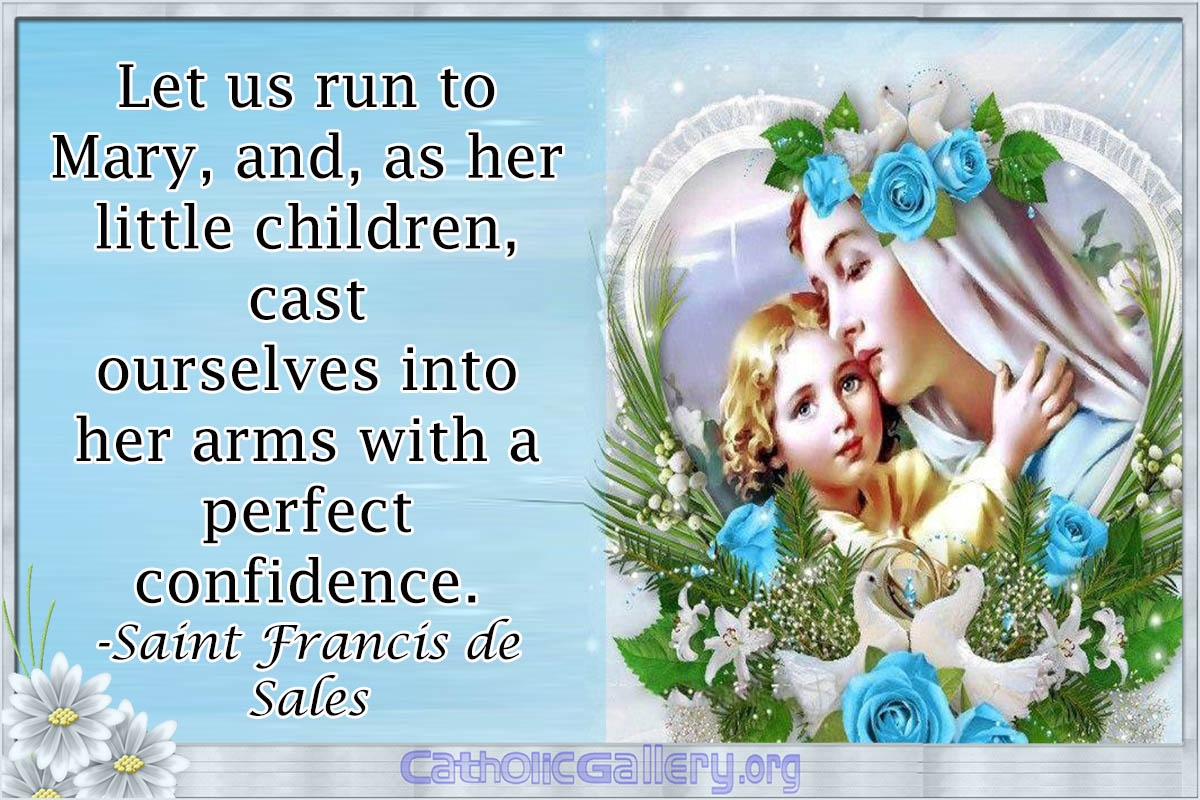 Quotes About Mary Pictures Page 2 Catholic Gallery