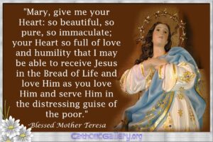 Quotes About Mary Pictures Page 4 Catholic Gallery