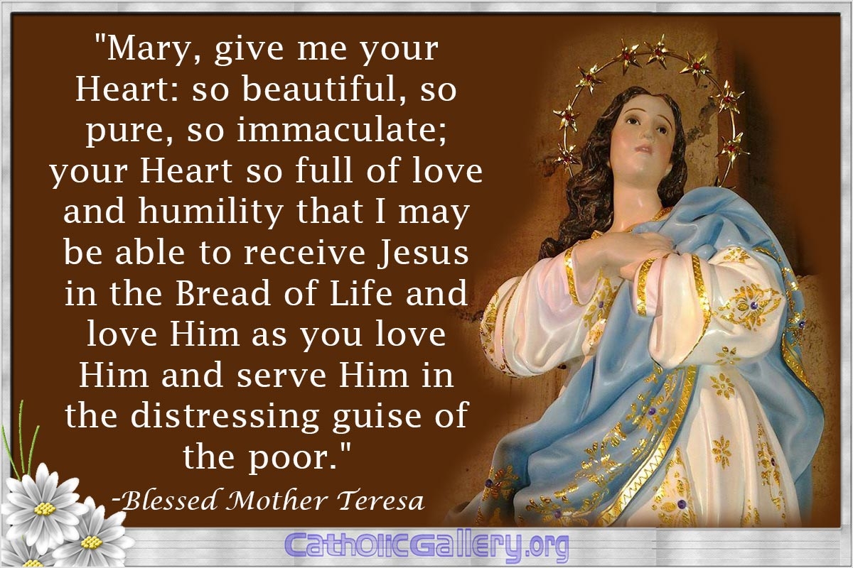 Quotes About Mary Pictures Page 4 Catholic Gallery