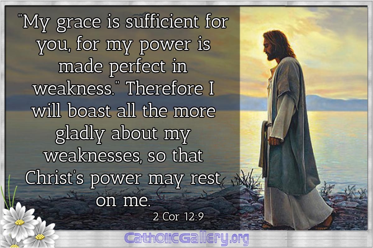 Bible Quotes About Saints