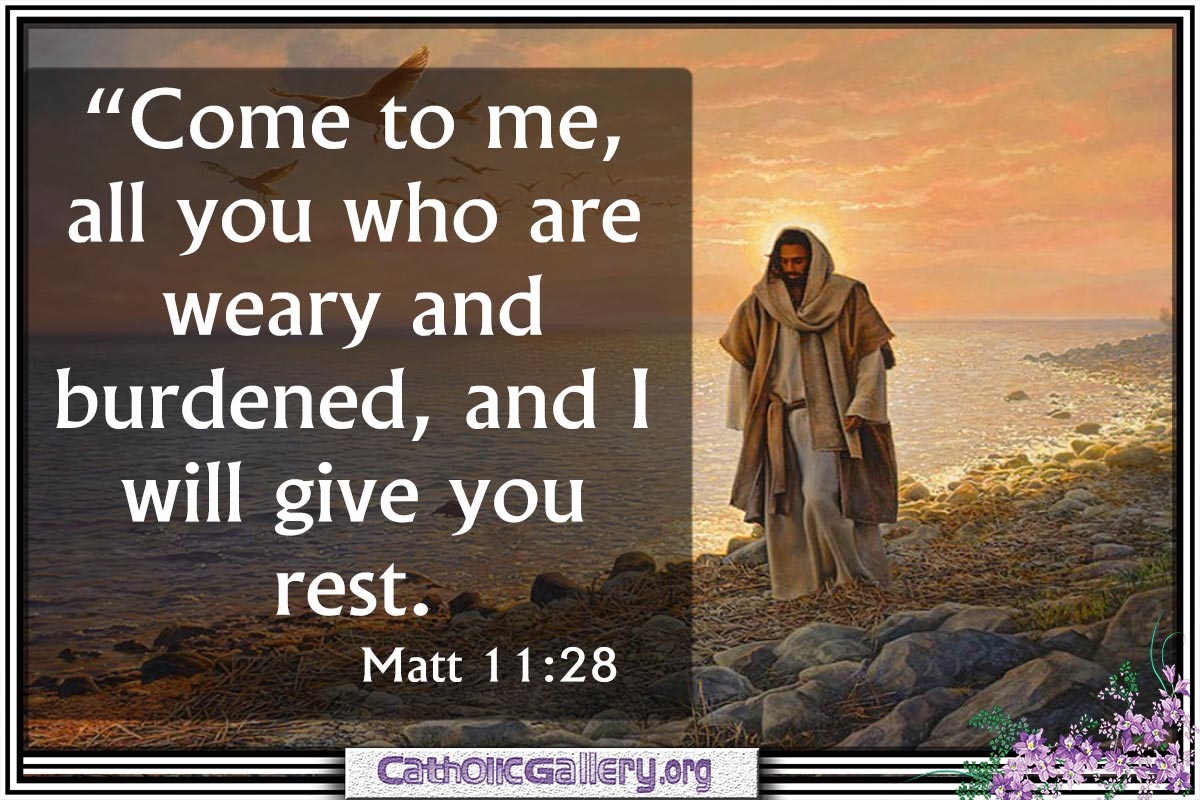 Quotes From Bible Pictures Page 5 Catholic Gallery