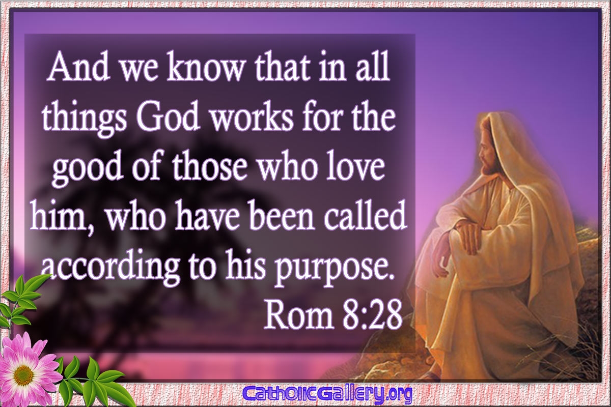 Quotes From Bible Pictures Page 6 Catholic Gallery