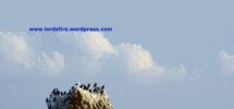 Quotes From Exodus QuotesGram