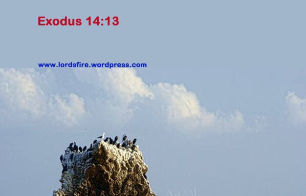 Quotes From Exodus QuotesGram