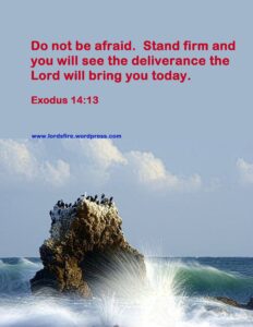 Quotes From Exodus QuotesGram
