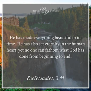 Radiate His Glory 15 Bible Verses About Beauty