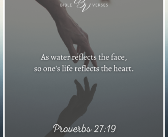 Radiate His Glory 15 Bible Verses About Beauty