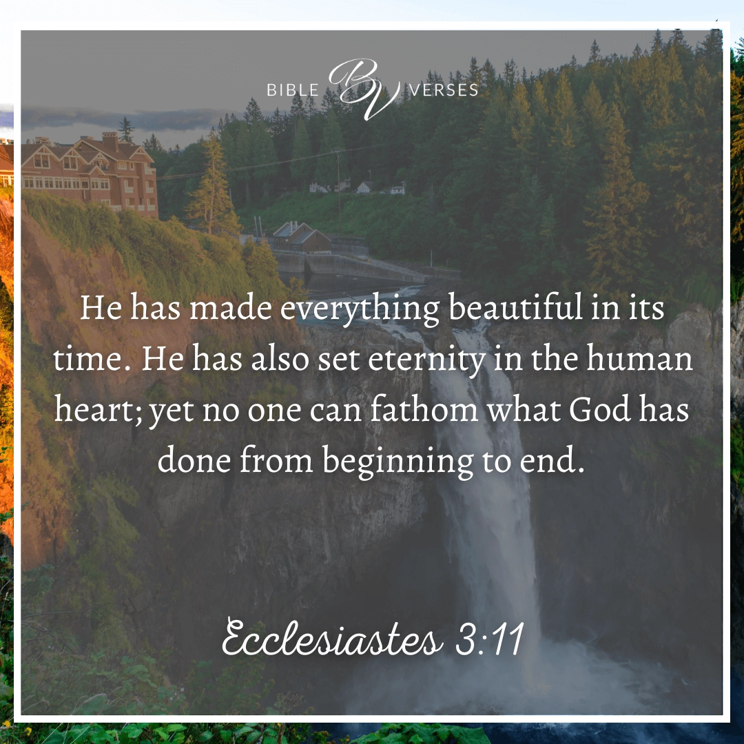 Radiate His Glory 15 Bible Verses About Beauty