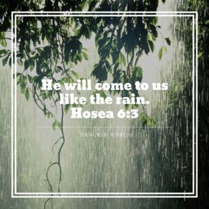 Rain thewordfortheday On Tumblr