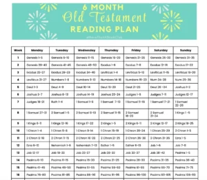 Read The Bible In 6 Months Etsy
