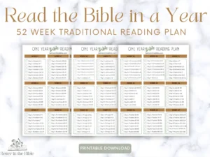 Read The Bible In A Year Chart Traditional Bible Reading Plan Printable Bible In A Year Chart Bible Reading Tracker Bible Tracker Etsy
