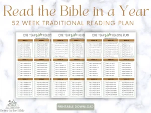 Read The Bible In A Year Chart Traditional Bible Reading Plan Printable Bible In A Year Chart Bible Reading Tracker Bible Tracker Etsy