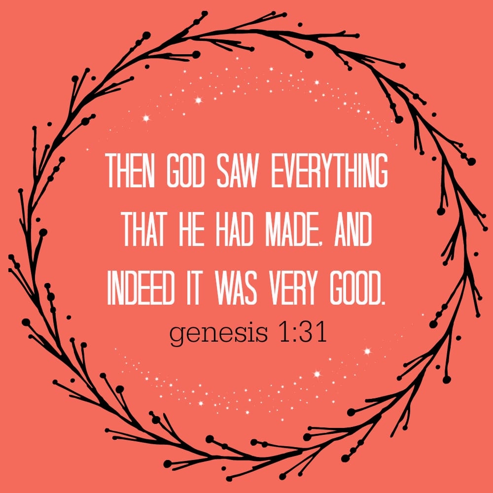Reflection On God s Creation Eat Or Drink