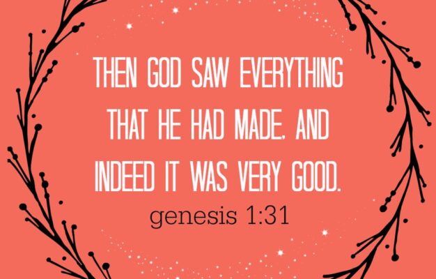 Reflection On God s Creation Eat Or Drink