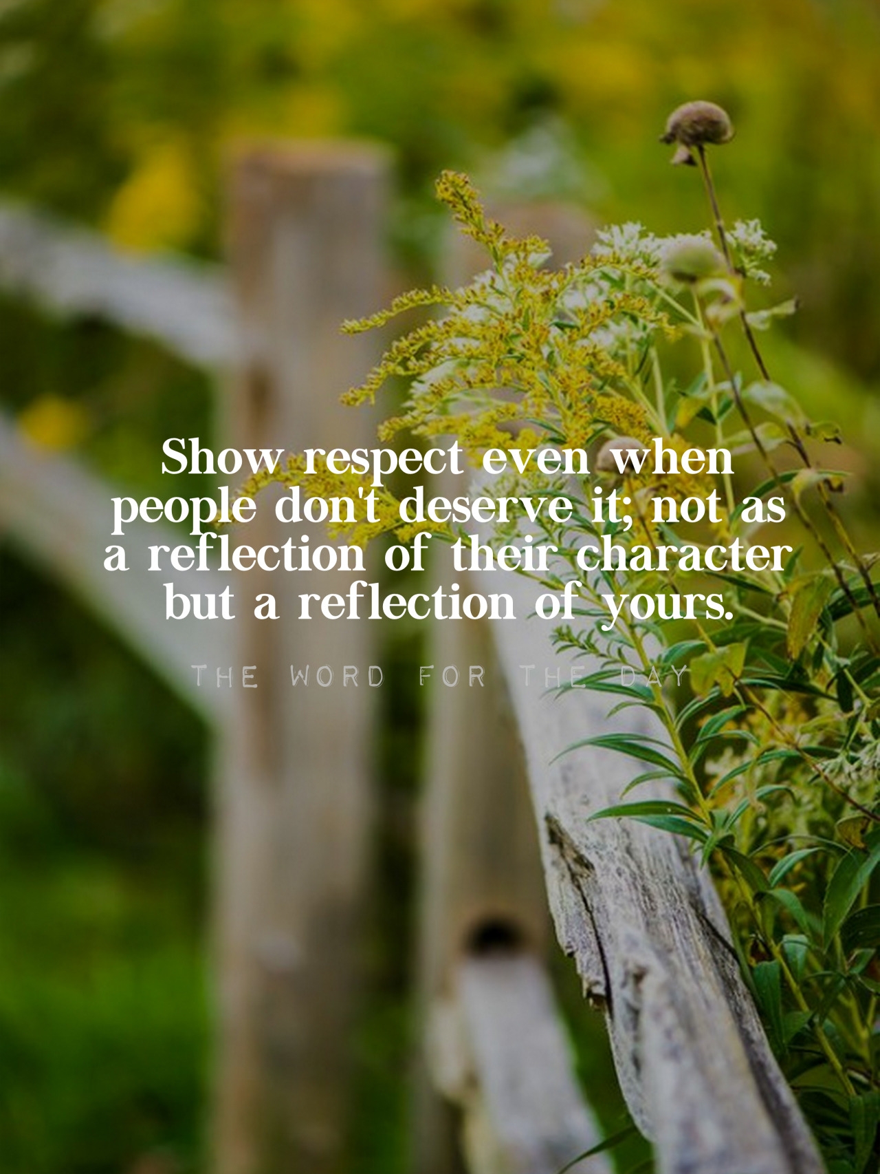 Respect thewordfortheday On Tumblr