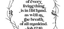Revisiting Job When Life Is Hard Wateringcanblog