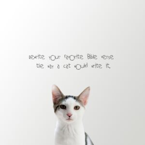 Rewrite Your Favorite Bible Verse The Way A Cat Would Write It Sunday Social