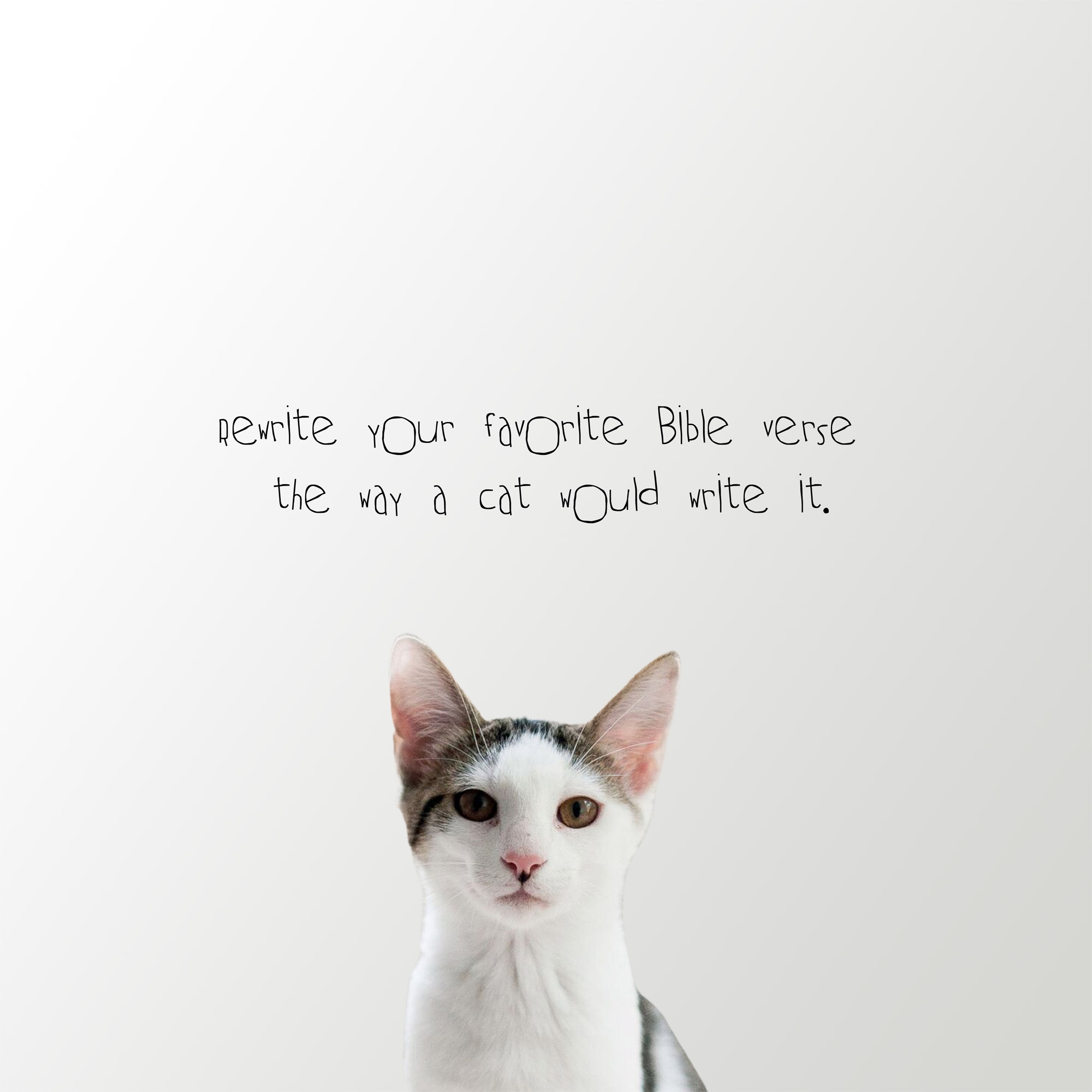 Rewrite Your Favorite Bible Verse The Way A Cat Would Write It Sunday Social