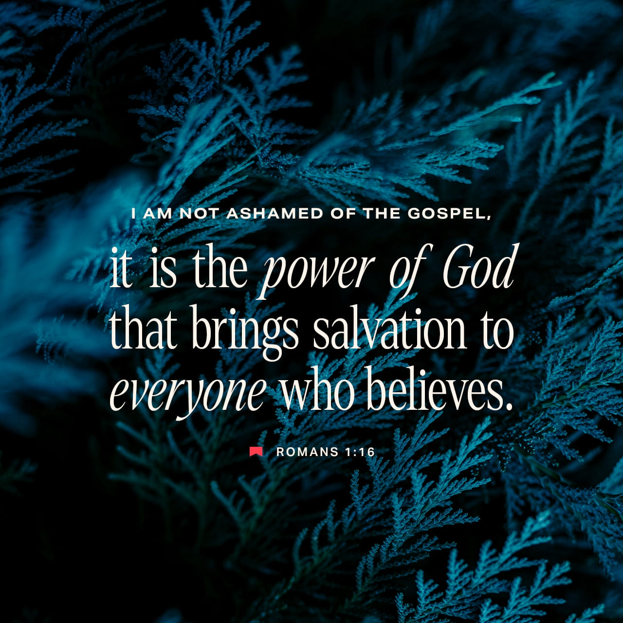 Romans 1 16 26 KJV For I Am Not Ashamed Of The Gospel YouVersion Romans 1 16 26 KJV For I Am Not Ashamed Of The Gospel YouVersion