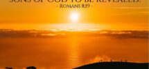 Romans 8 19 Illustrated The Creation Waits In Eager Expectation Heartlight Gallery