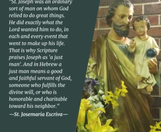 Saint Quotes Diocese Of Kansas City St Joseph