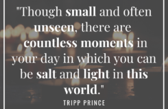 Salt And Light Wisdom Hunters