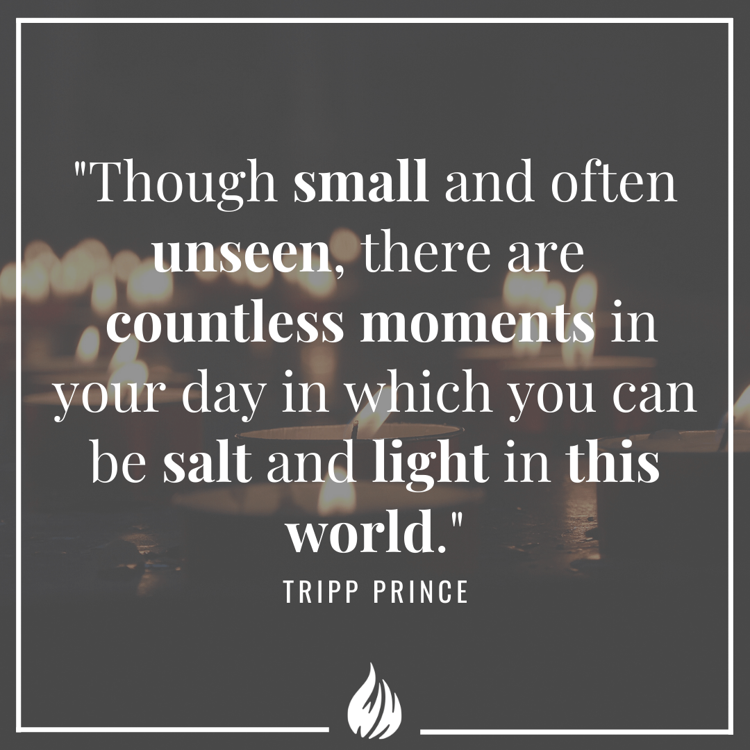 Salt And Light Wisdom Hunters