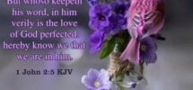 Saturday Blessings With Inspiring Bible Verse Pictures Photos And Images For Facebook Tumblr Pinterest And Twitter